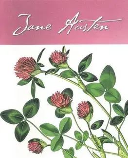 Svetová beletria Rozum a cit - Jane Austen
