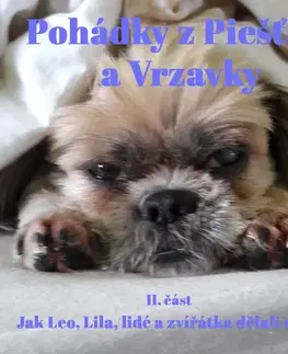 Pre deti a mládež WDBC s.r.o. Pohádky z Piešťan a Vrzavky II.