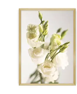 Obrazy Plagát Elegant Flowers