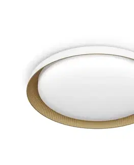 Svietidlá Philips - LED Stmievateľné stropné svietidlo PEBBLO LED/10W/230V 4000K biela 8720169301078