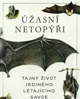 Biológia, fauna a flóra Úžasní netopýři - Yossi Yovel,Robert Doležal