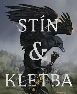 Sci-fi a fantasy Stín a kletba - Sharon Lynn Fisher,Johana Tkáčová