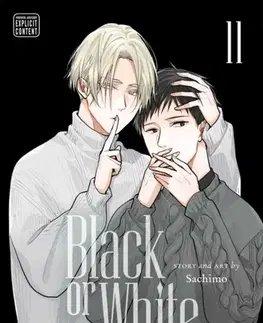 Beletria - ostatné Black or White, Vol. 11 - Sachimo