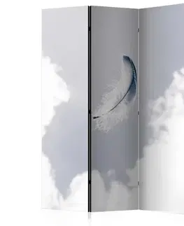 Paravány Paraván Angelic Feather Dekorhome