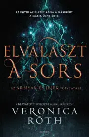 Sci-fi a fantasy Elválaszt a sors - Veronica Roth
