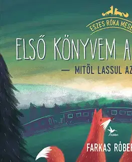Rozprávky Első könyvem a téridőről – Mitől lassul az idő? - Róbert Farkas