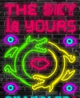 Cudzojazyčná literatúra The Sky Is Yours - Chandler Klang Smith