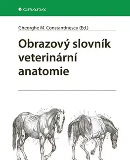 Veterinárna medicína Obrazový slovník veterinární anatomie - Gheorghe M. Constantinescu