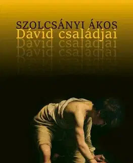 Svetová beletria Dávid családjai - Ákos Szolcsányi