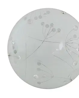 Stropná svetla floki stropné svietidlo plafond 30 1x60w E27 priehľadné