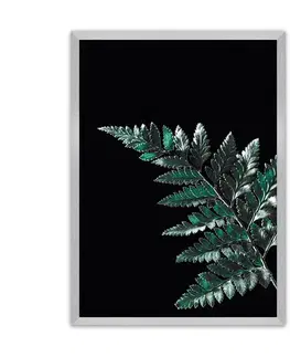 Obrazy Plagát Dark Leaf