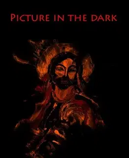 Detektívky, trilery, horory Picture in the dark - Lora Slámová