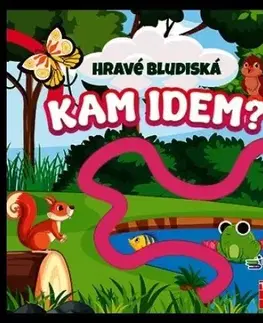 Leporelá, krabičky, puzzle knihy Hravé bludiská - Kam idem?