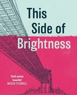 Historické romány This Side of Brightness - Colum McCann