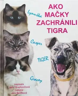 Pre deti a mládež - ostatné Ako mačky zachránili tigra - Jana Krajčovičová