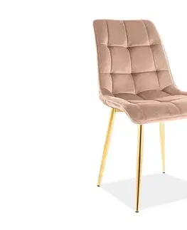 Kuchynské a jedálenské stoličky Signal Jedálenská stolička CHIC VELVET | zlaté nohy Farba: Ružová / Bluvel 52