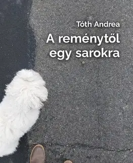 Beletria - ostatné A reménytől egy sarokra - Andrea Tóth