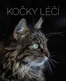 Mačky Kočky léčí - Karel Pavlica