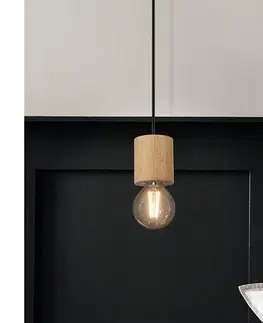 Svietidlá Eglo 99078 - Luster na lanku TURIALDO 1xE27/28W/230V 99078