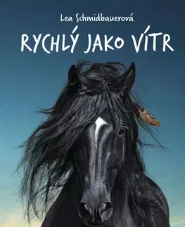 Young adults Rychlý jako vítr: Jak to všechno začalo - Lea Schmidbauerová