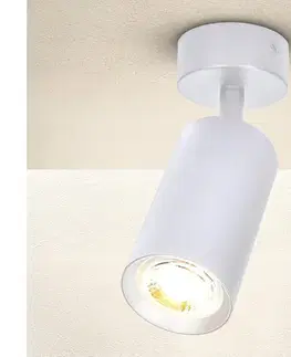 Svietidlá BRILAGI - Bodové svietidlo SELE 1xGU10/30W/230V biela WO-A2-OEM