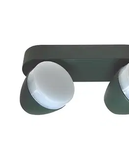 Svietidlá  LED Bodové svietidlo SURMUR 2xLED/6W/230V zelená SKU013076