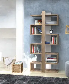 Knižnice Knižnica Ionis