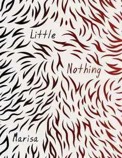 Cudzojazyčná literatúra Little Nothing - Marisa Silver