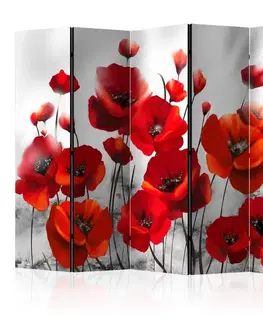 Paravány Paraván Poppies in the Moonlight Dekorhome
