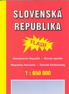 Do auta Automapa Slovensko 1:650 000 - flash - Kolektív autorov