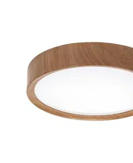 Svietidlá BRILAGI - LED stropné svietidlo NATURA LED/12W/230V 4000K pr. 26,3 cm B10310AGGU