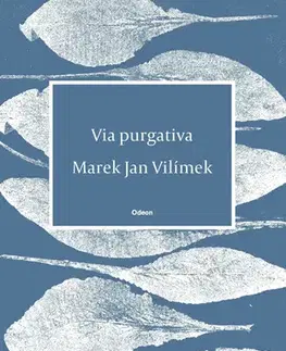 Poézia Via purgativa - Marek Jan Vilímek