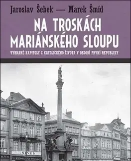 Slovenské a české dejiny Na troskách mariánského sloupu - Jaroslav Šebek,Marek Šmíd