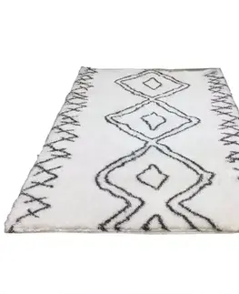 Moderné koberce Koberec Shaggy Scandi 1,6/2,3 H391A PSC13