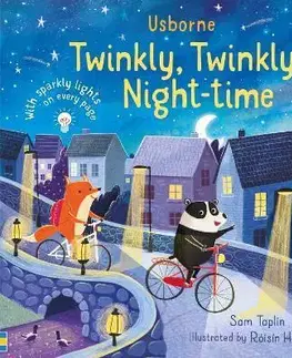 Leporelá, krabičky, puzzle knihy Twinkly Twinkly Night Time - Sam Taplin,Róisín Hahessy