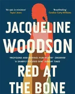 Svetová beletria Red at the Bone - Jacqueline Woodson