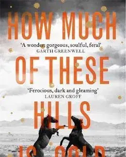 Cudzojazyčná literatúra How Much of These Hills is Gold - Pam Zhang