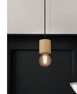 Svietidlá Eglo 901172 - Závesný luster na lanku TURIALDO 1xE27/28W/230V 901172