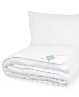 Prikrývky 4Home Set prikrývky a vankúša Aloe Premium, 140 x 220 cm, 70 x 90 cm