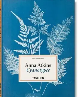Fotografia Anna Atkins Cyanotypes. - Anna Atkins