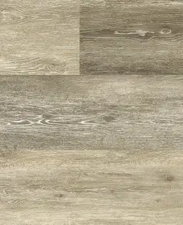 Economy vinyl click rigid FLOOR FOREVER Economy vinyl click rigid 4301