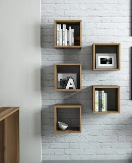 Bytové doplnky a dekorácie Nástenná polica Box - Walnut