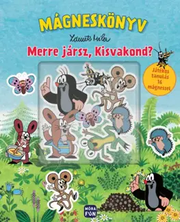 3D, magnetické, priestorové knihy Merre jársz Kisvakond? - Mágneskönyv