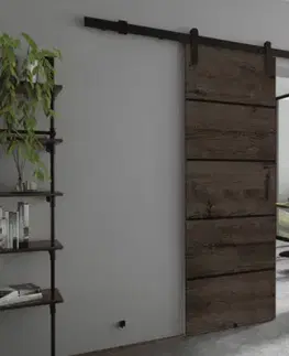 Posuvné dvere KIER Posuvné dvere LORNI PLUS DUO | 192 cm Farba: jaseň tmavý