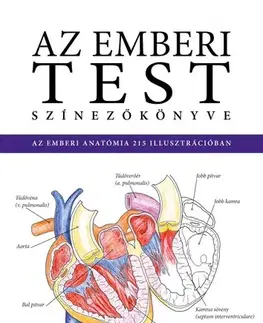 Biológia, fauna a flóra Az emberi test színezőkönyve