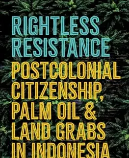 Politológia Rightless Resistance - Adriaan Bedner,Ward Berenschot,Otto Hospes,Daniel Peterson,Ahmad Dhiaulhaq,Afrizal
