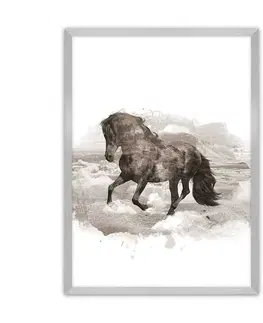 Obrazy Plagát Horse