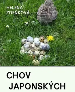 Zvieratá, chovateľstvo - ostatné Chov japonských křepelek - Helena Zdeňková