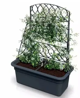 Kvetináče a truhlíky Kinekus Kvetináč / truhlík plastový s pergolou 580x288 mm, antracit, výška 225 / 780 mm