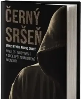 Detektívky, trilery, horory Černý sršeň - Rob Sinclair
